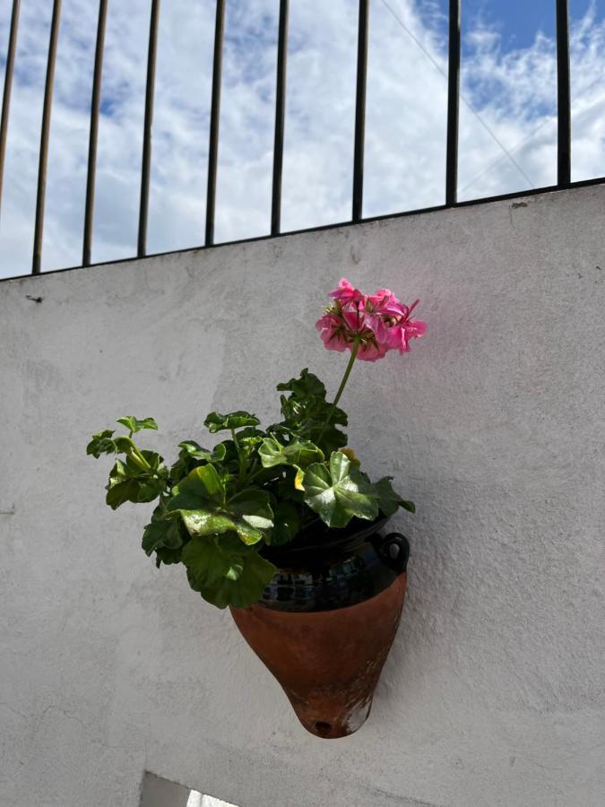 Atico Centro 17 Lejlighed Jerez de la Frontera Eksteriør billede